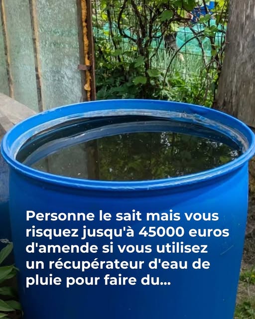 Jusqu’à 45 000€ d’amende : attention à ces erreurs courantes avec votre récupérateur d’eau, elles peuvent vous coûter cher !