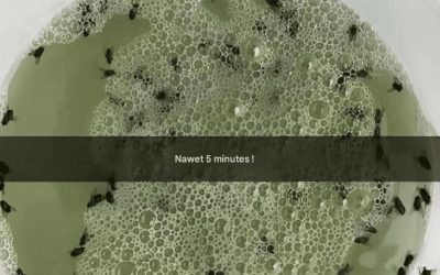 Dites adieu aux insectes agaçants grâce à ce répulsif naturel fait maison.