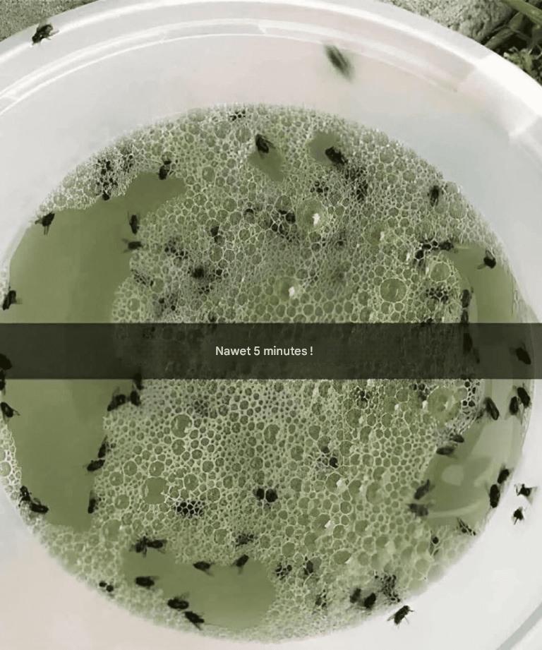 Dites adieu aux insectes agaçants grâce à ce répulsif naturel fait maison.