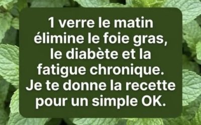20 aliments détox pour purifier votre organisme naturellement