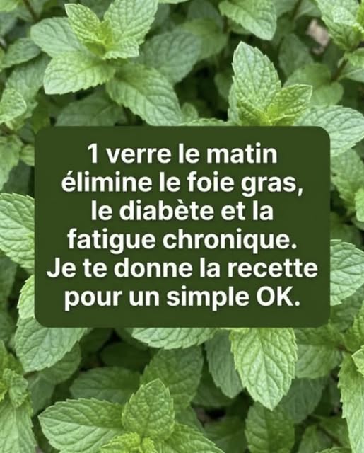 20 aliments détox pour purifier votre organisme naturellement
