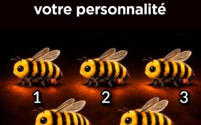 L’abeille que vous choisirez en dit long sur votre personnalité