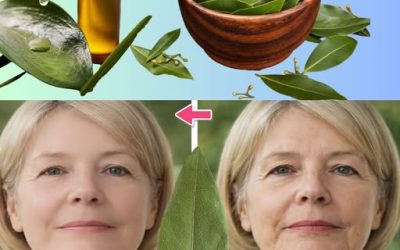 **Feuille de laurier : le secret naturel pour une peau plus ferme et rajeunie après 50 ans ?** 🌿✨