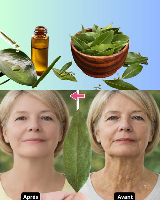 **Feuille de laurier : le secret naturel pour une peau plus ferme et rajeunie après 50 ans ?** 🌿✨