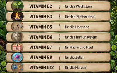 Vitamine und ihre Aufgaben im Körper