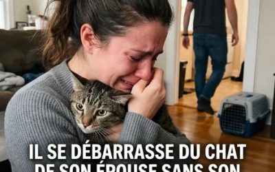 Son mari place son chat dans un refuge sans son accord, et elle décide de demander le divorce
