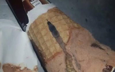 Aujourd’hui, ma fille a ouvert sa glace au chocolat préférée, celle qu’elle mange presque tous les jours après l’école.