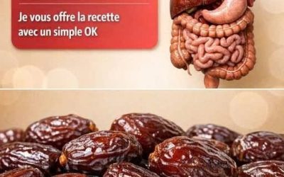 Consommer trois dattes par jour : effets sur votre santé, recettes et tout ce qu’il faut savoir.