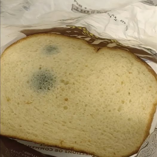 Peut-on manger du pain moisi ?