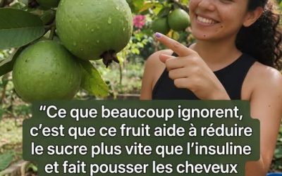 Ce que la plupart des gens ignorent, c’est que ce fruit fait chuter le sucre plus vite que l’insuline, tout en boostant la pousse des cheveux ! Laissez un “OK” en commentaire pour nous faire savoir que vous êtes là et recevoir le nom du fruit !