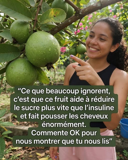 Ce que la plupart des gens ignorent, c’est que ce fruit fait chuter le sucre plus vite que l’insuline, tout en boostant la pousse des cheveux ! Laissez un “OK” en commentaire pour nous faire savoir que vous êtes là et recevoir le nom du fruit !