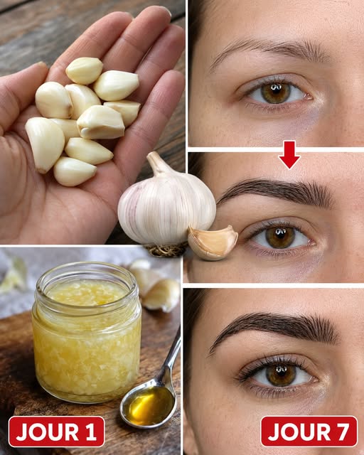 Comment faire pousser ses sourcils et ses cils en 7 jours avec de l’ail et de l’huile naturelle