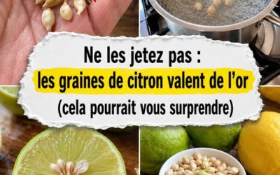 Ne jetez pas les pépins de citron : un trésor naturel que presque tout le monde gaspille.