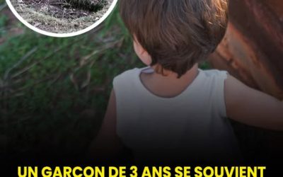 Ce bambin de 3 ans affirme avoir été tué dans une vie antérieure et mène les adultes jusqu’à sa propre tombe