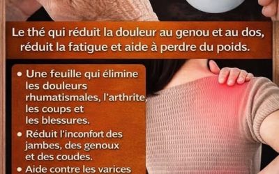 Une seule feuille soulage les douleurs rhumatismales, l’arthrite, les contusions et les blessures. Atténue les douleurs aux jambes.