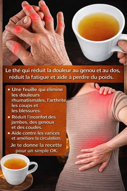 Une seule feuille soulage les douleurs rhumatismales, l’arthrite, les contusions et les blessures. Atténue les douleurs aux jambes.