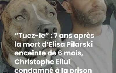 “Tuez-le” : 7 ans après la mort d’Elisa Pilarski enceinte de 6 mois, Christophe Ellul condamné à la prison avec sursis, le sort du chien Curtis dévoilé