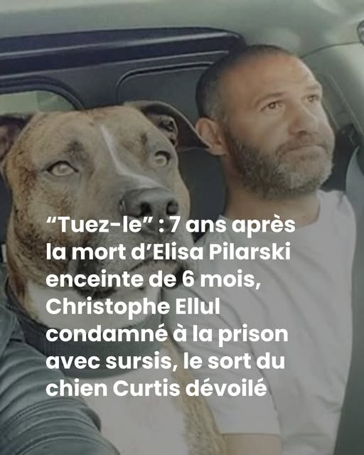 “Tuez-le” : 7 ans après la mort d’Elisa Pilarski enceinte de 6 mois, Christophe Ellul condamné à la prison avec sursis, le sort du chien Curtis dévoilé