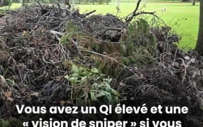 Ce test de vision va vous retourner le cerveau : un chien se cache dans cette image, et seuls les plus observateurs le trouvent