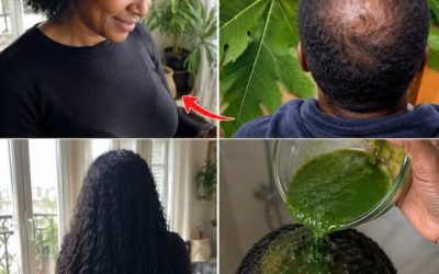 Jus de feuilles de papaye pour la pousse des cheveux : une recette naturelle et efficace