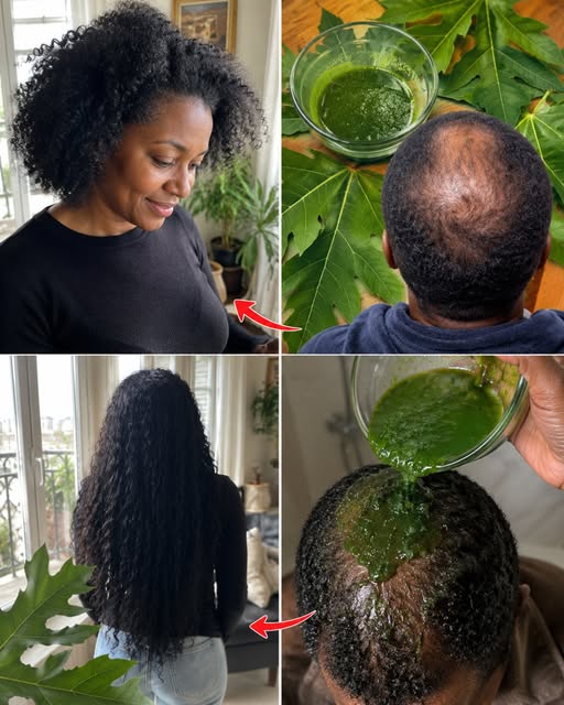 Jus de feuilles de papaye pour la pousse des cheveux : une recette naturelle et efficace