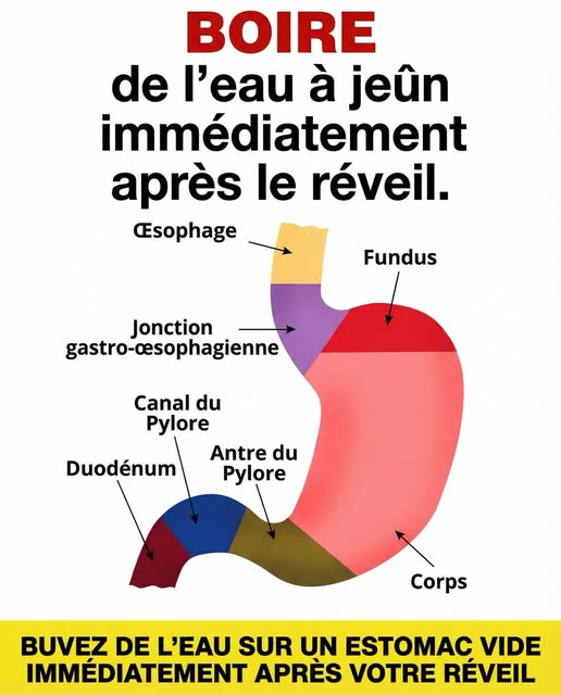 Pourquoi boire un verre d’eau au réveil est bon pour la santé