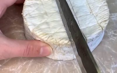 Les vertus méconnues du fromage pour la santé