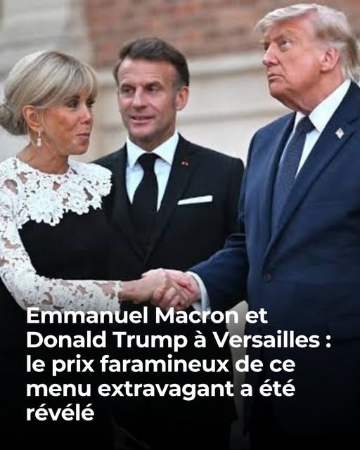 VIDÉO GALA – Emmanuel et Brigitte Macron reçoivent Donald Trump à Versailles : quand le château de Louis XIV livre ses secrets aux grands de ce monde sur fond de coucher de soleil…