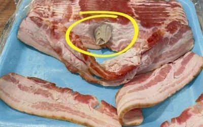 Je suis allé au magasin et j’ai acheté du bacon, je l’ai ramené à la maison pour le manger.