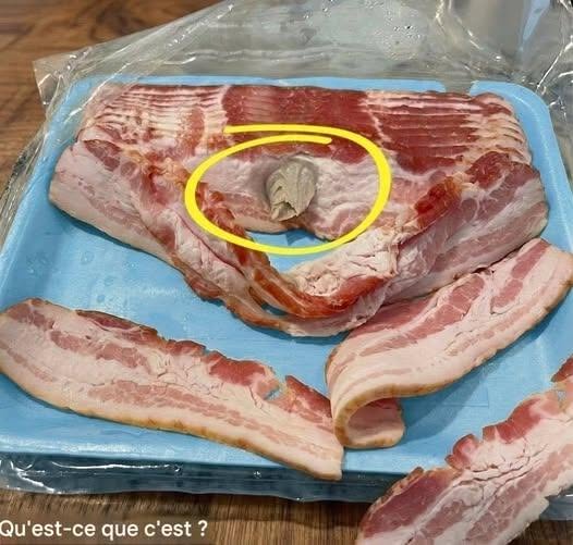 Je suis allé au magasin et j’ai acheté du bacon, je l’ai ramené à la maison pour le manger.