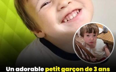 Un adorable petit garçon de 3 ans se noie dans la piscine familiale malgré le port d’un gilet de sauvetage, après qu’une erreur cruciale a été commise par ses proches