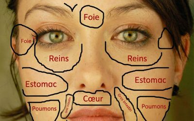 Carte du visage chinoise : les problèmes de peau révèlent l’état des organes vitaux du corps