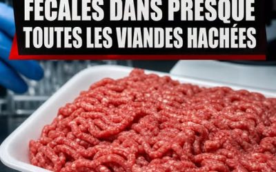 Il y a de la matière fécale dans presque toutes les viandes hachées