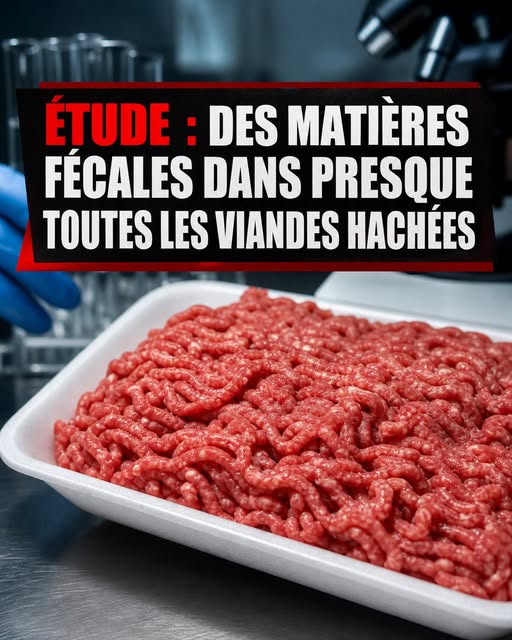 Il y a de la matière fécale dans presque toutes les viandes hachées