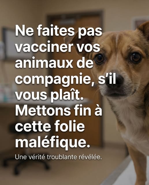Ne faites pas vacciner vos animaux de compagnie, s’il vous plaît. Mettons fin à cette folie maléfique.