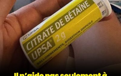 Bien plus qu’un simple allié de la digestion : les bienfaits méconnus du citrate de bétaïne