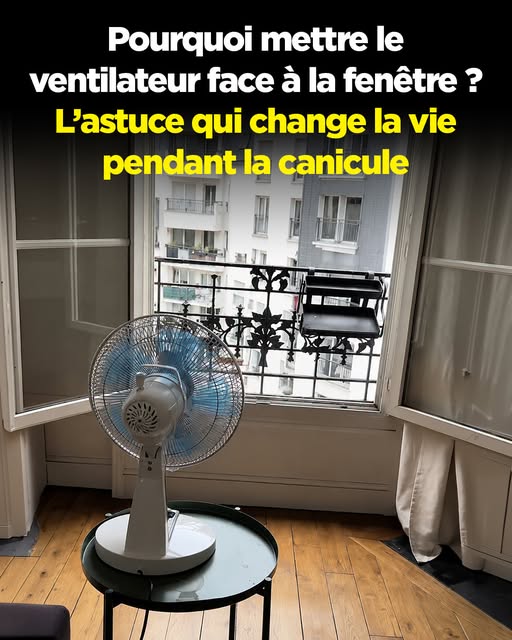 Pendant la canicule, l’emplacement de votre ventilateur peut faire toute la différence. Découvrez pourquoi le placer face à la fenêtre permet de mieux rafraîchir votre intérieur