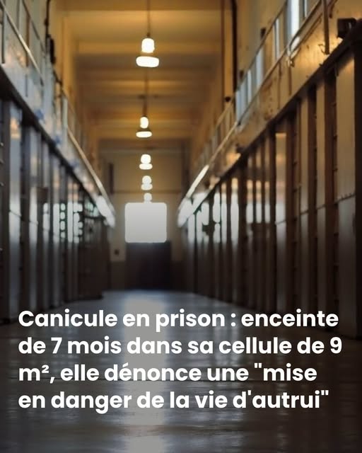 Canicule en prison : enceinte de 7 mois dans sa cellule de 9 m², elle dénonce une “mise en danger de la vie d’autrui”