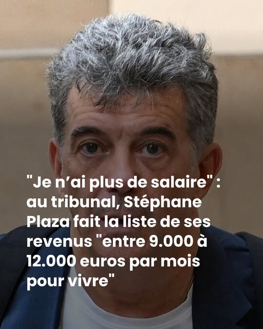 “Je n’ai plus de salaire” : au tribunal, Stéphane Plaza fait la liste de ses revenus “entre 9.000 à 12.000 euros par mois pour vivre”