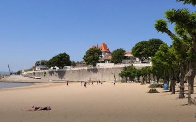 Au coeur de la Charente Maritime, cette plage de sable fin est parfaite pour se rafraîchir l’été